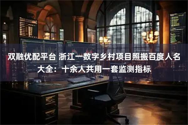 双融优配平台 浙江一数字乡村项目照搬百度人名大全：十余人共用一套监测指标