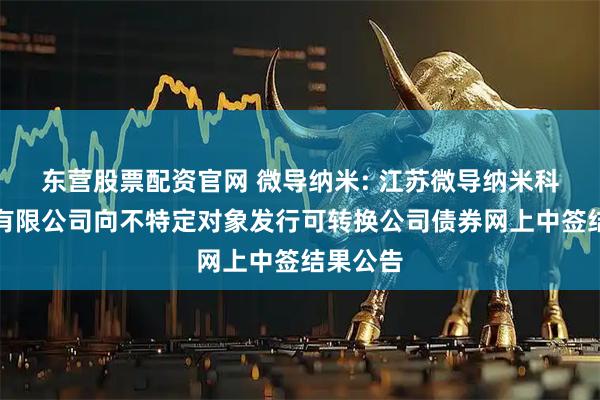 东营股票配资官网 微导纳米: 江苏微导纳米科技股份有限公司向不特定对象发行可转换公司债券网上中签结果公告